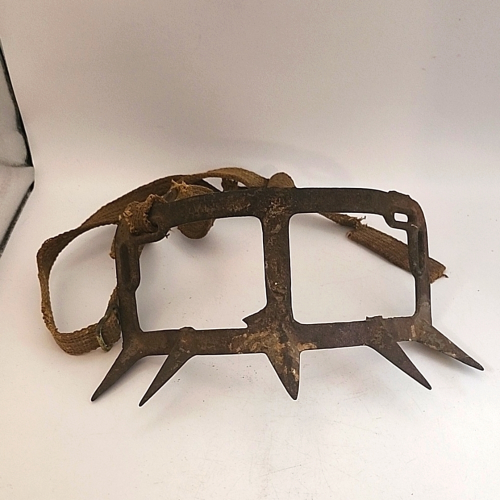 Vintage 1932 Daisy Calf Weaner